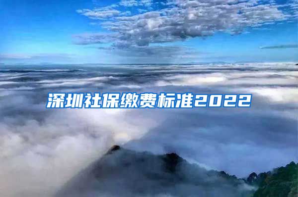深圳社保缴费标准2022