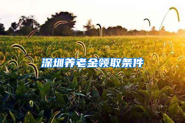 深圳养老金领取条件