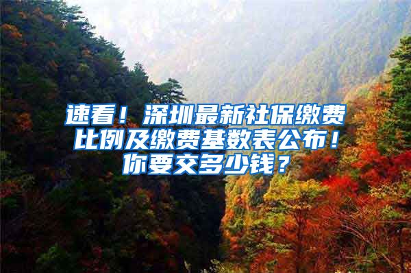 速看！深圳最新社保缴费比例及缴费基数表公布！你要交多少钱？