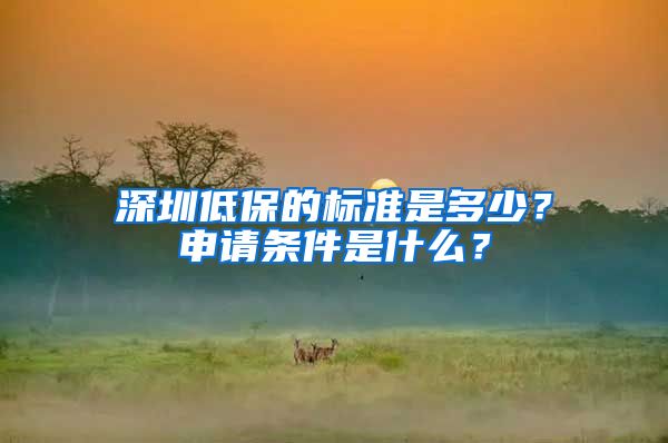 深圳低保的标准是多少？申请条件是什么？