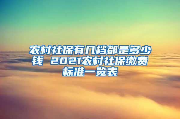 农村社保有几档都是多少钱 2021农村社保缴费标准一览表