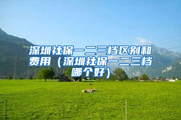 深圳社保一二三档区别和费用（深圳社保一二三档哪个好）