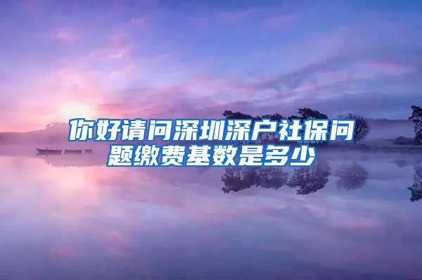 你好请问深圳深户社保问题缴费基数是多少