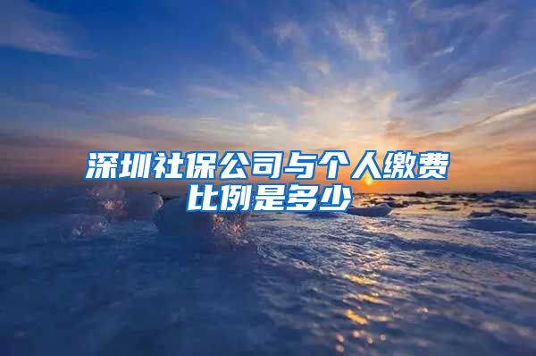 深圳社保公司与个人缴费比例是多少