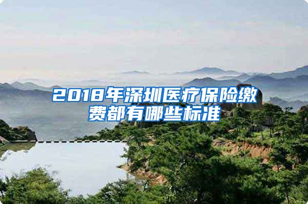 2018年深圳医疗保险缴费都有哪些标准