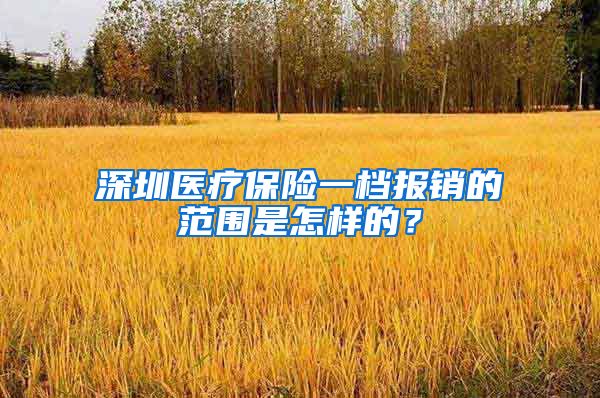 深圳医疗保险一档报销的范围是怎样的？