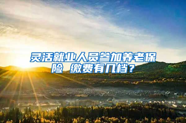 灵活就业人员参加养老保险 缴费有几档？