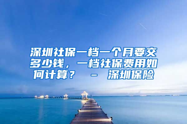 深圳社保一档一个月要交多少钱，一档社保费用如何计算？ – 深圳保险