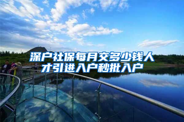深户社保每月交多少钱人才引进入户秒批入户