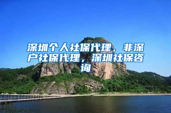 深圳个人社保代理，非深户社保代理，深圳社保咨询