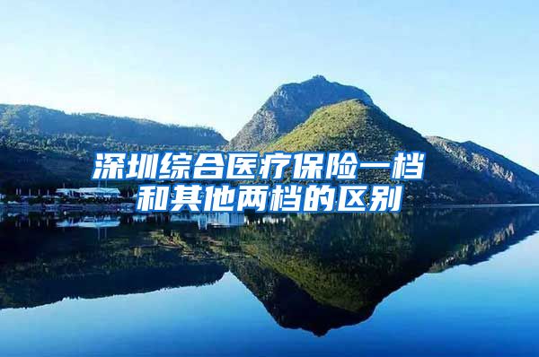 深圳综合医疗保险一档 和其他两档的区别