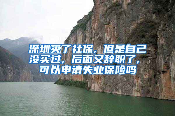 深圳买了社保, 但是自己没买过, 后面又辞职了, 可以申请失业保险吗