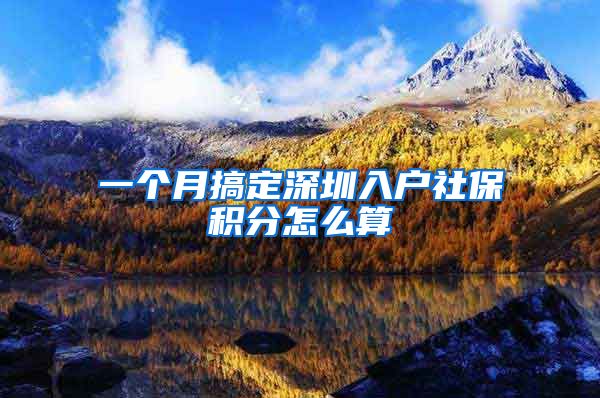 一个月搞定深圳入户社保积分怎么算