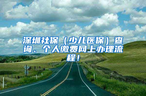 深圳社保（少儿医保）查询、个人缴费网上办理流程！