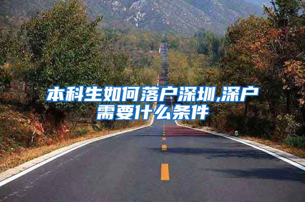 本科生如何落户深圳,深户需要什么条件