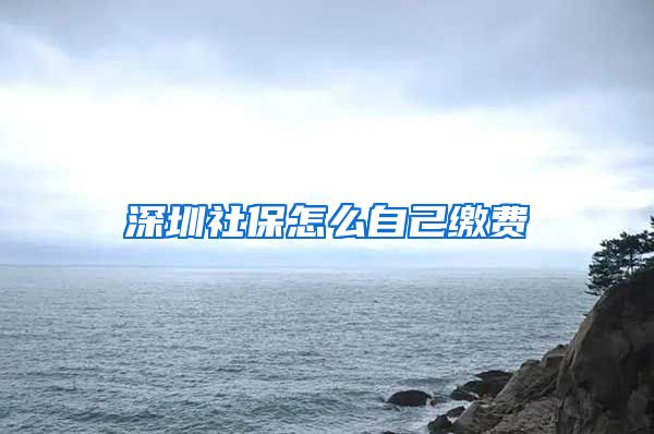 深圳社保怎么自己缴费