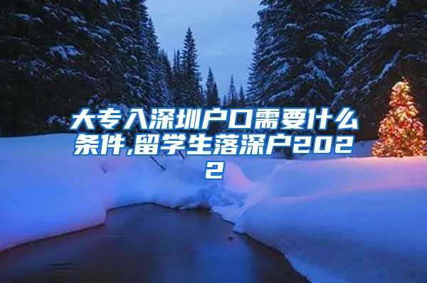 大专入深圳户口需要什么条件,留学生落深户2022