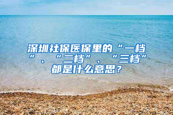 深圳社保医保里的“一档”、“二档”、“三档”都是什么意思？