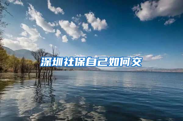 深圳社保自己如何交