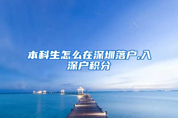 本科生怎么在深圳落户,入深户积分