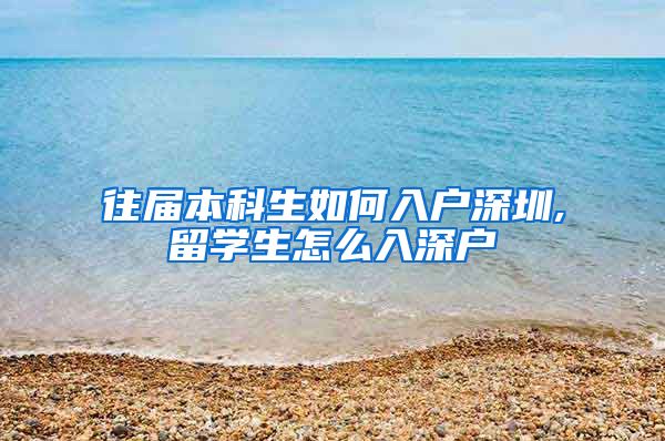 往届本科生如何入户深圳,留学生怎么入深户