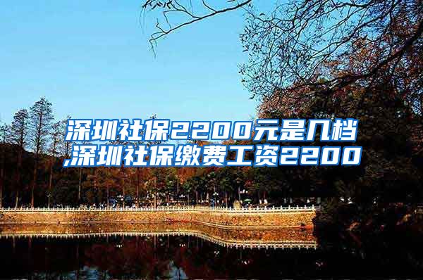 深圳社保2200元是几档,深圳社保缴费工资2200