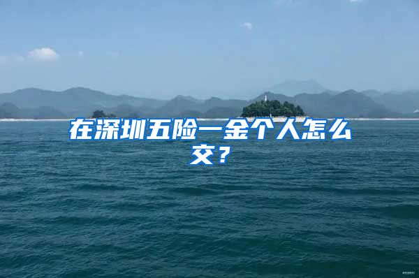 在深圳五险一金个人怎么交？