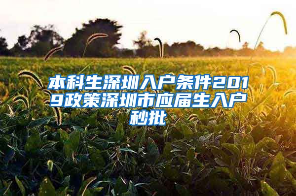 本科生深圳入户条件2019政策深圳市应届生入户秒批