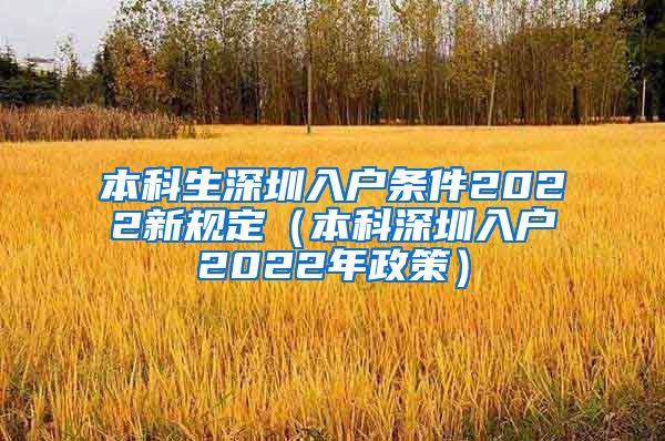 本科生深圳入户条件2022新规定（本科深圳入户2022年政策）