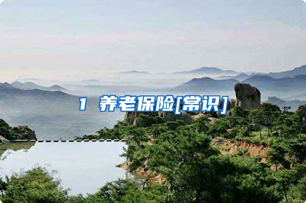 1 养老保险[常识]