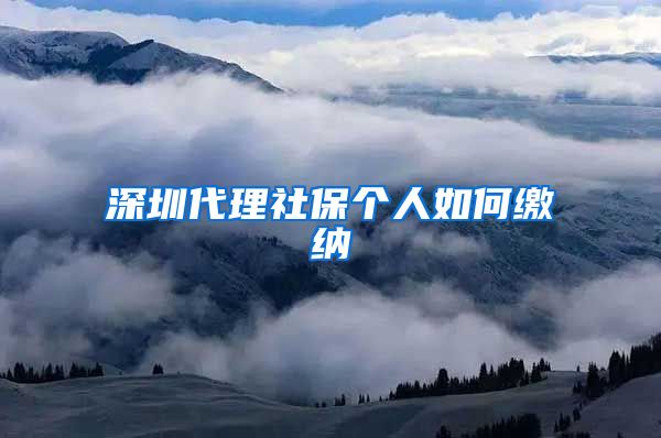 深圳代理社保个人如何缴纳