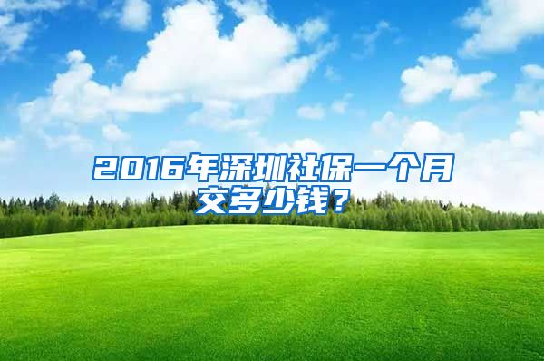 2016年深圳社保一个月交多少钱？