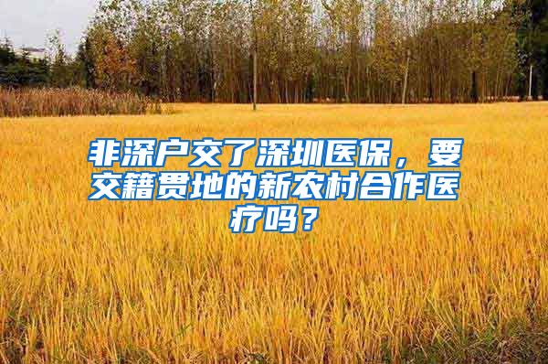 非深户交了深圳医保，要交籍贯地的新农村合作医疗吗？