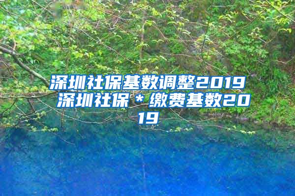 深圳社保基数调整2019 深圳社保＊缴费基数2019