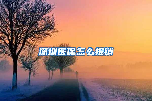 深圳医保怎么报销