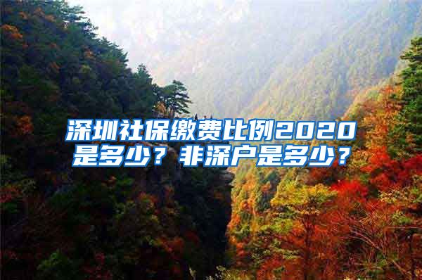 深圳社保缴费比例2020是多少？非深户是多少？