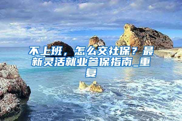 不上班，怎么交社保？最新灵活就业参保指南_重复