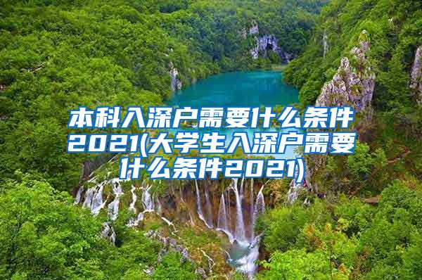 本科入深户需要什么条件2021(大学生入深户需要什么条件2021)