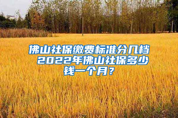 佛山社保缴费标准分几档 2022年佛山社保多少钱一个月？