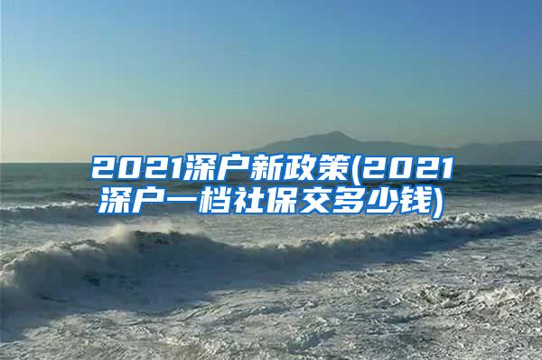 2021深户新政策(2021深户一档社保交多少钱)