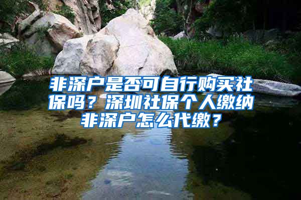 非深户是否可自行购买社保吗？深圳社保个人缴纳非深户怎么代缴？