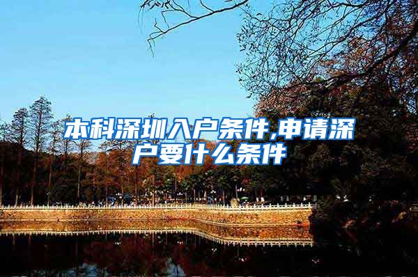 本科深圳入户条件,申请深户要什么条件