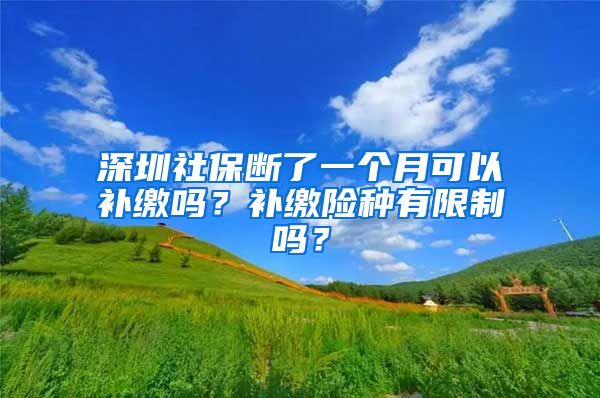 深圳社保断了一个月可以补缴吗？补缴险种有限制吗？