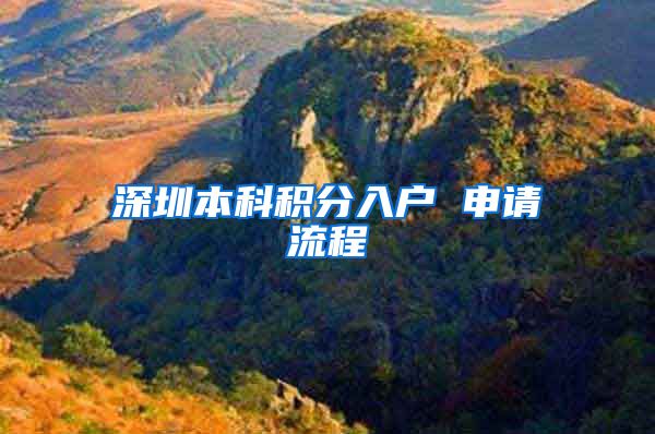 深圳本科积分入户 申请流程