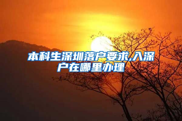 本科生深圳落户要求,入深户在哪里办理