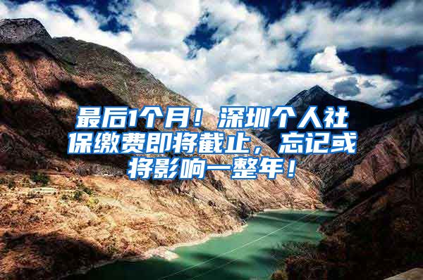 最后1个月！深圳个人社保缴费即将截止，忘记或将影响一整年！