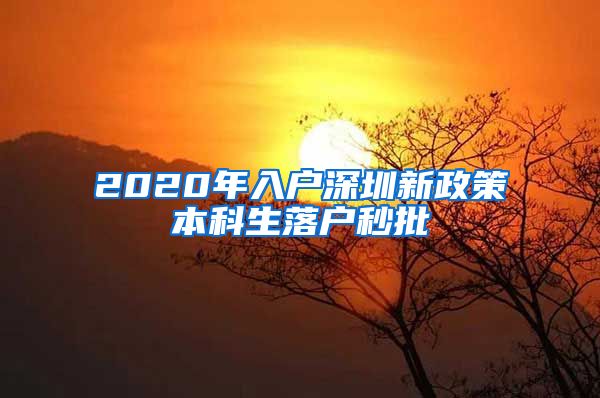 2020年入户深圳新政策本科生落户秒批