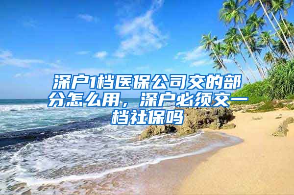 深户1档医保公司交的部分怎么用，深户必须交一档社保吗