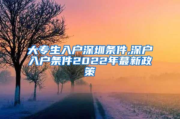 大专生入户深圳条件,深户入户条件2022年蕞新政策