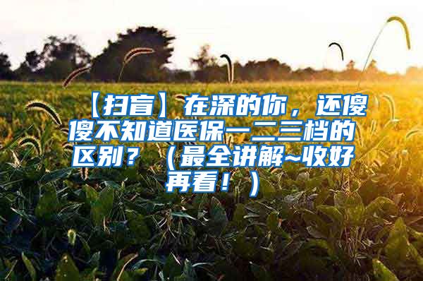【扫盲】在深的你，还傻傻不知道医保一二三档的区别？（最全讲解~收好再看！）